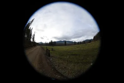 DSC_0051 (Large).JPG